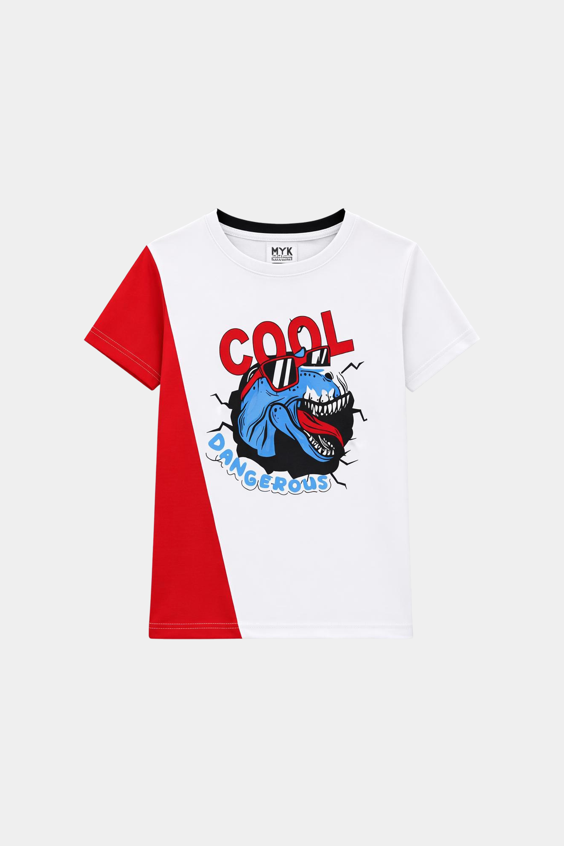 Cool & Dangerous Dino T-Shirt & Shorts Set - MYK_Fatimas