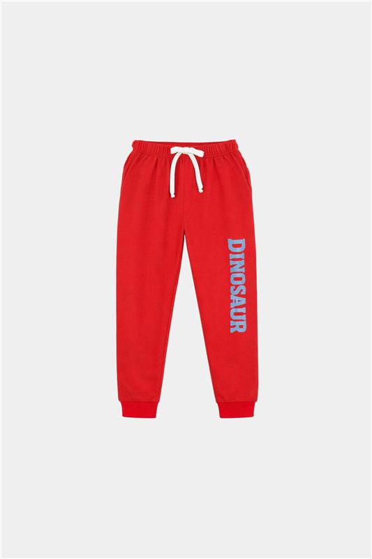 MYK Blue & Red Dinosaur Print Summer Co-ord Set - MYK_Fatimas