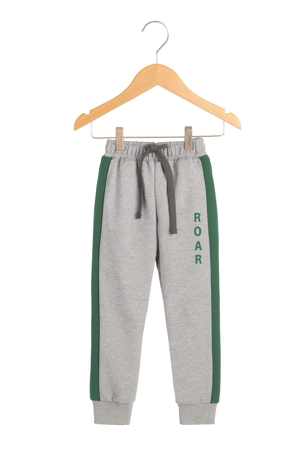 2pcs Set Kids Dinosaur Graphic Green & grey Sweatshirt With panel Trouser