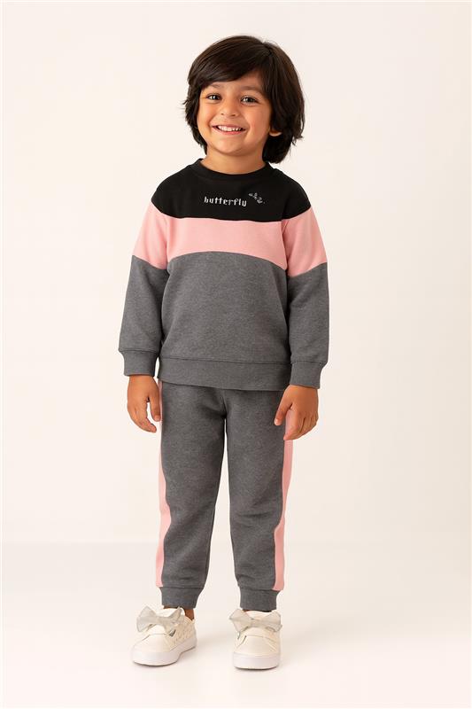 Toddler Girls Butterfly Letter Graphic Black , Pink & Grey Color Sweatshirt With Panel Trouser