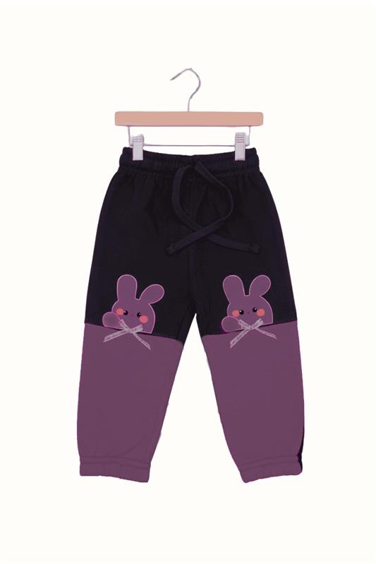 Toddler Girls' Adorable Pom Pom Ruffle Sweatshirt & Bunny Jogger 2-Piece Set