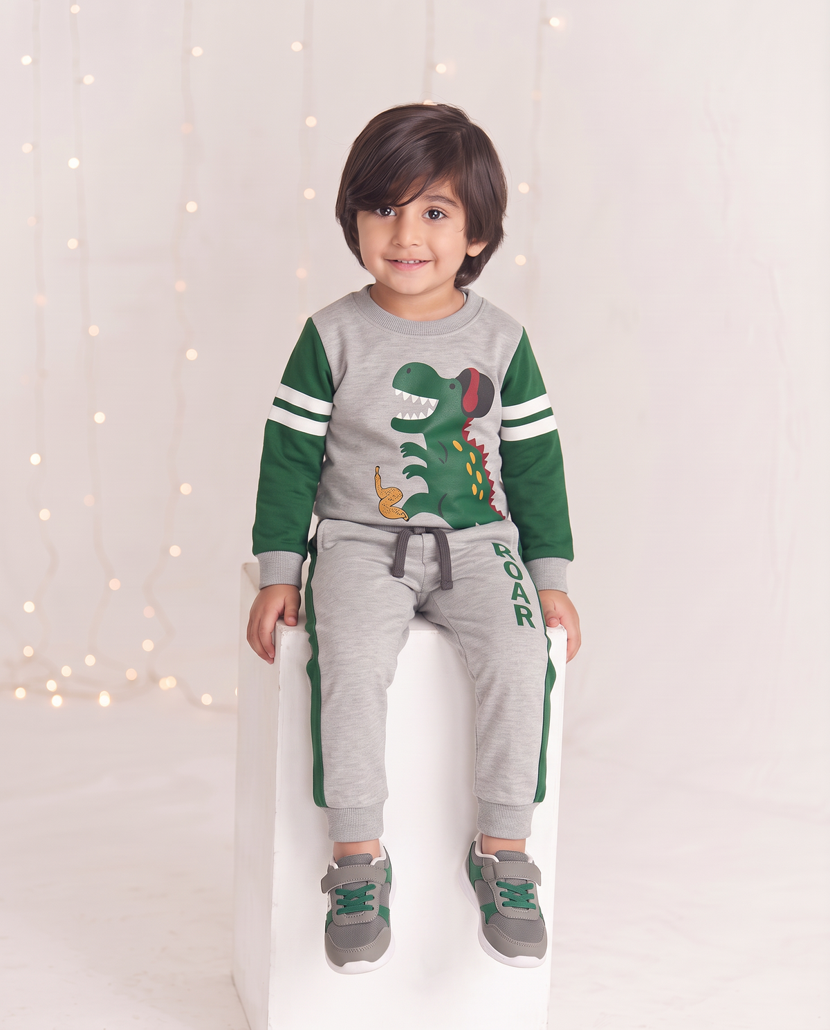 2pcs Set Kids Dinosaur Graphic Green & grey Sweatshirt With panel Trouser