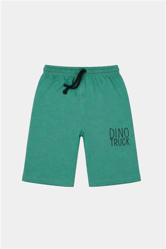 Dino Truck Summer Shorts Set for Boys - MYK_Fatimas