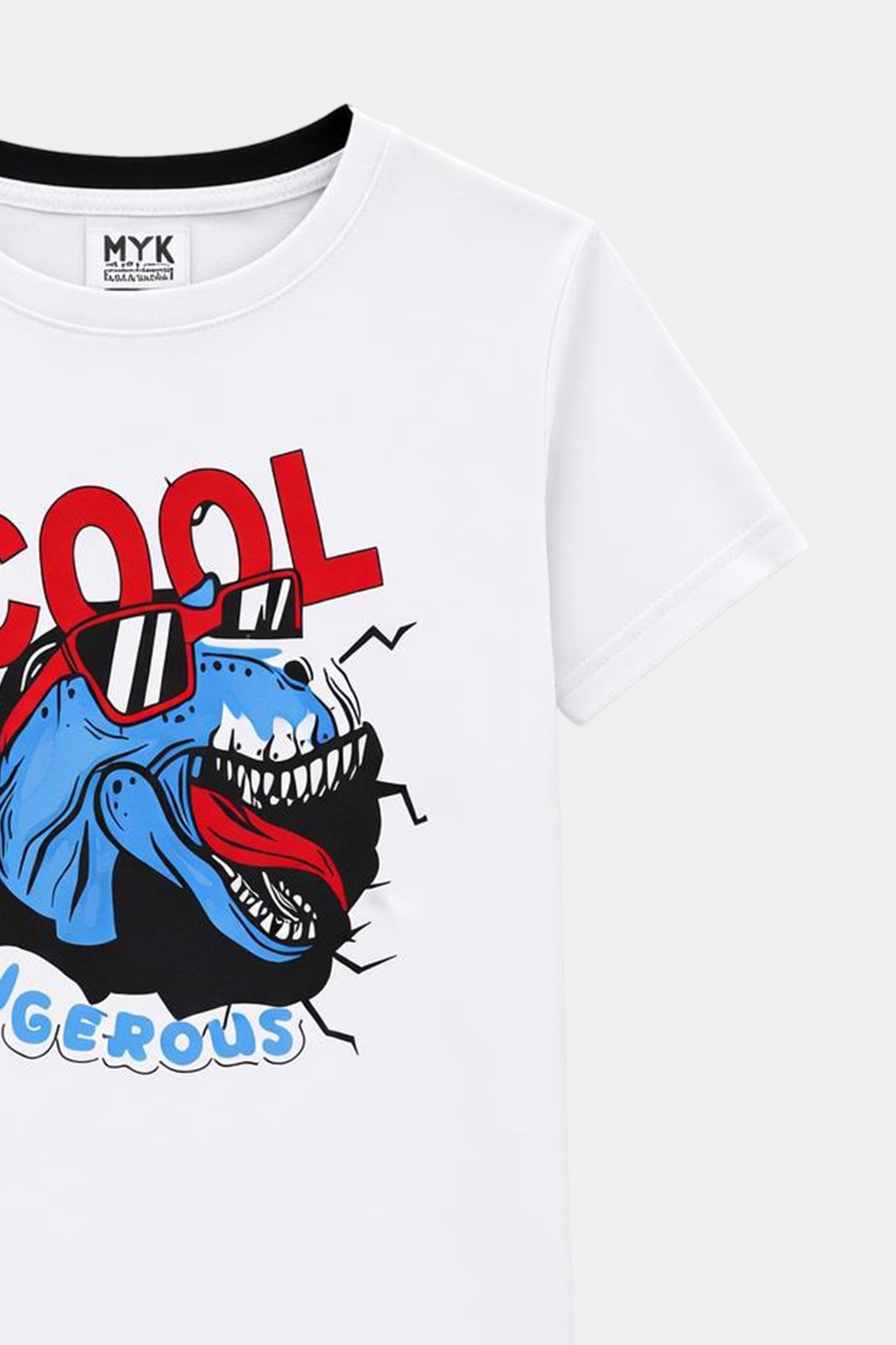 Cool & Dangerous Dino T-Shirt & Shorts Set - MYK_Fatimas