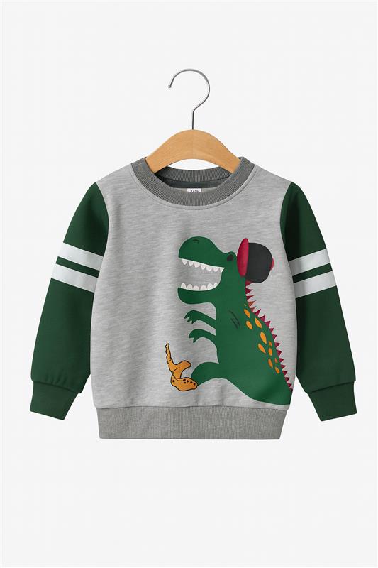 2pcs Set Kids Dinosaur Graphic Green & grey Sweatshirt With panel Trouser