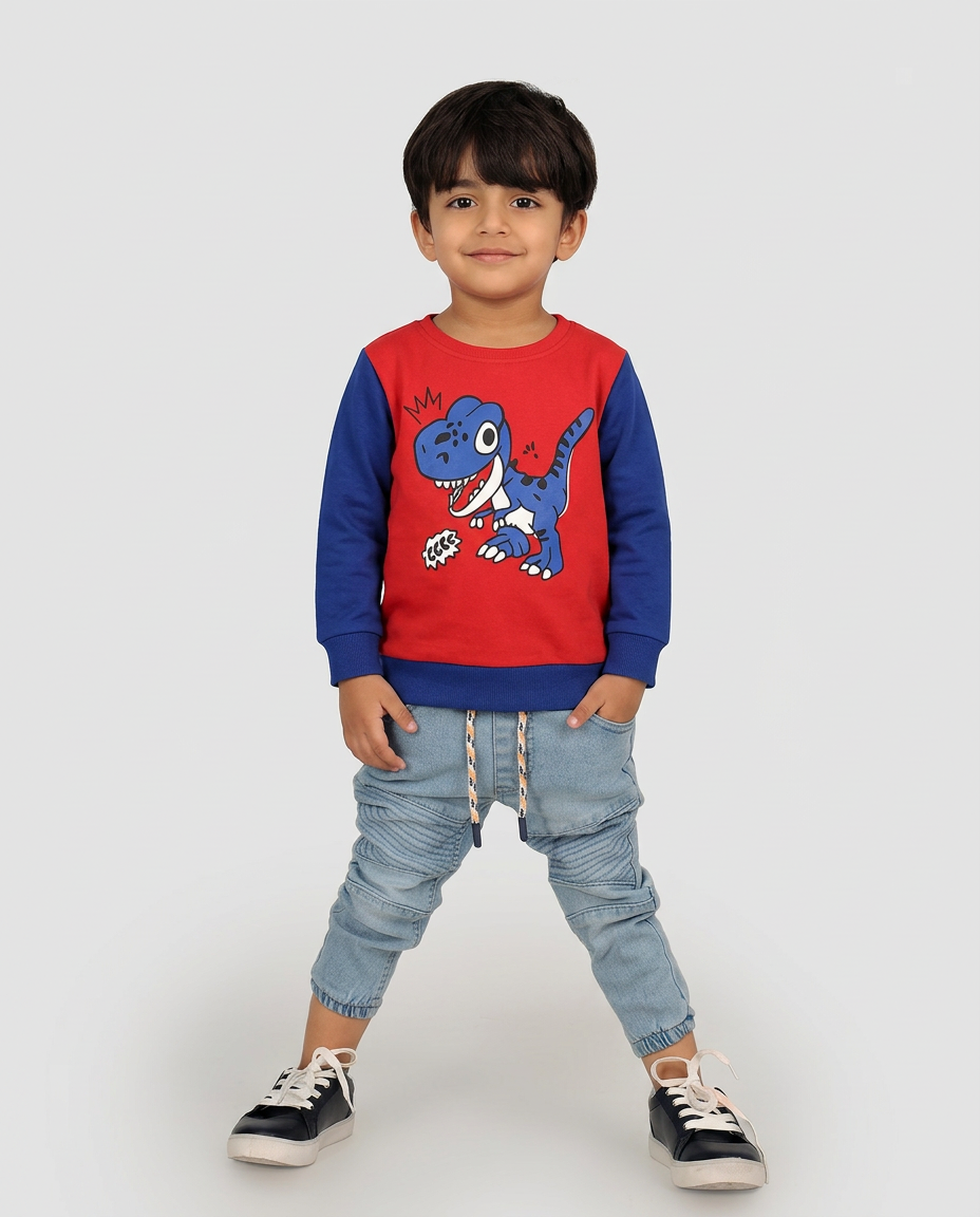T-Rex Dino Fleece Only Sweatshirt Premium Quality Red and Blue For Kids